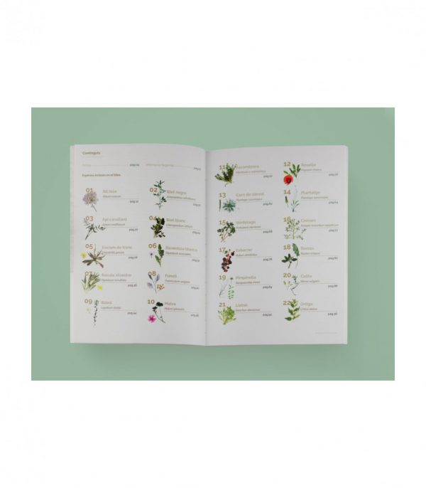 01 el llibre de les plantes silvestres comestibles 4