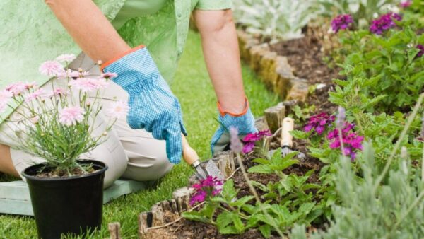 jardineria