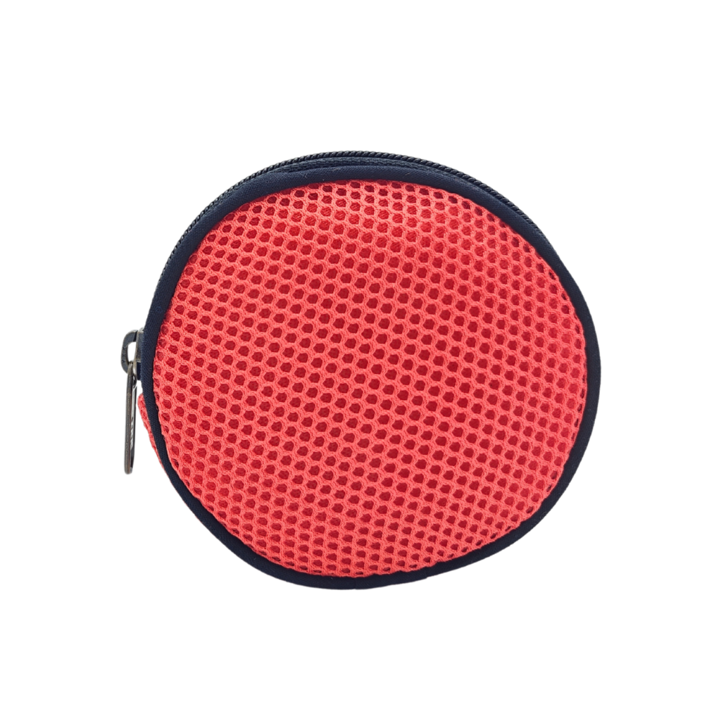 Moneder Salmó 3 Moneder Salmó - Imatge 3