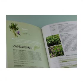 el llibre de les plantes silvestres comestibles 02 2