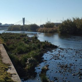 Parc fluvial del Besòs en la zona d'ús públic